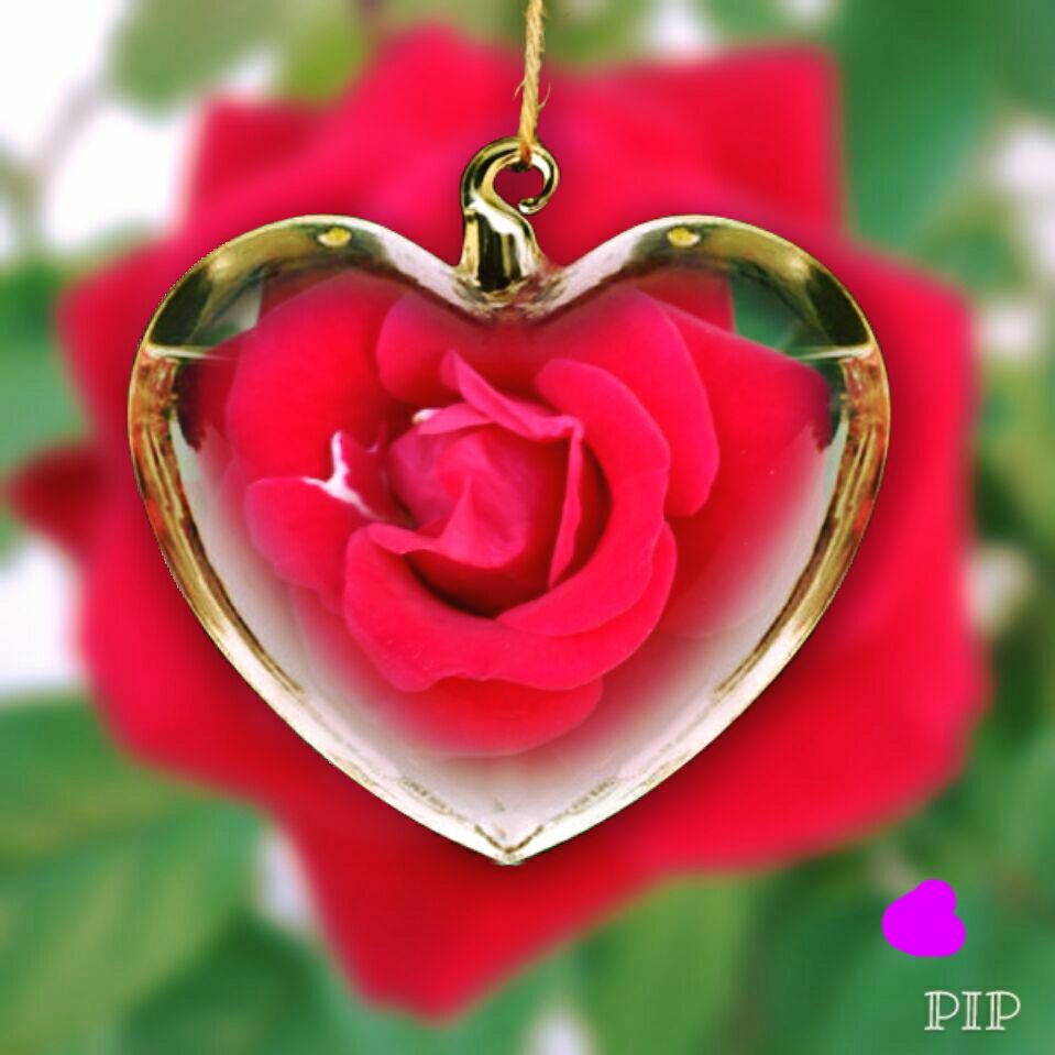 LA SOLEDAD NO CONOZCO.